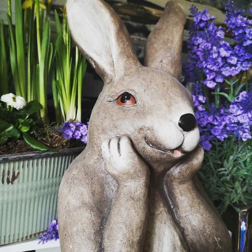 Großer hase rabbit braun - hase,