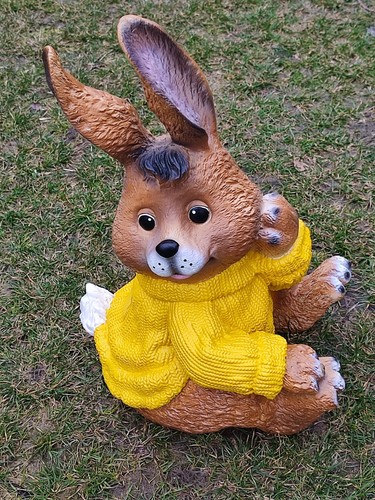 Hase osterhase ostern - hase,