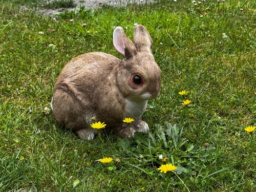 Hase osterhase garten - osterhase, garten-deko