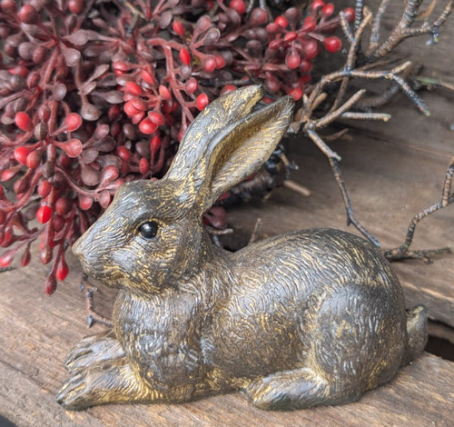 Hübscher kleiner hase - ❤️hübscher,