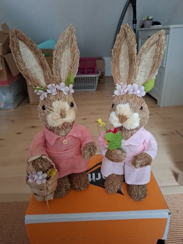 Frühling ostern hase - frühling,