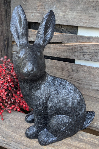 Schwarzer hase - schwarzer,