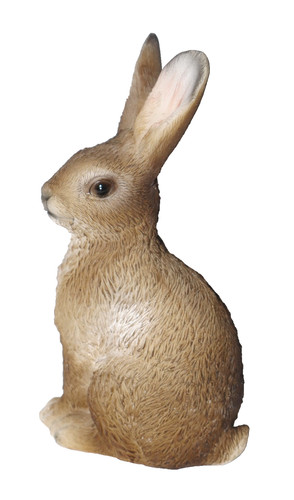 Deko hase osterhase - hase, oster